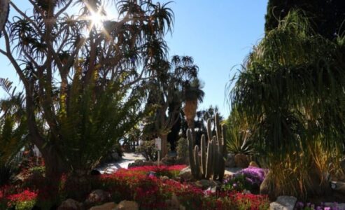 The Exotic Garden will soon be non-smoking!