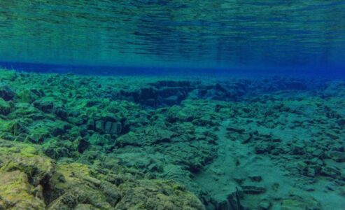 28 days underwater between Marseille and Monaco