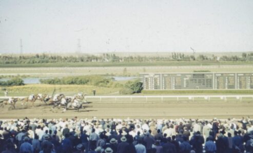 Princess Charlene Award- a horse race for a good cause