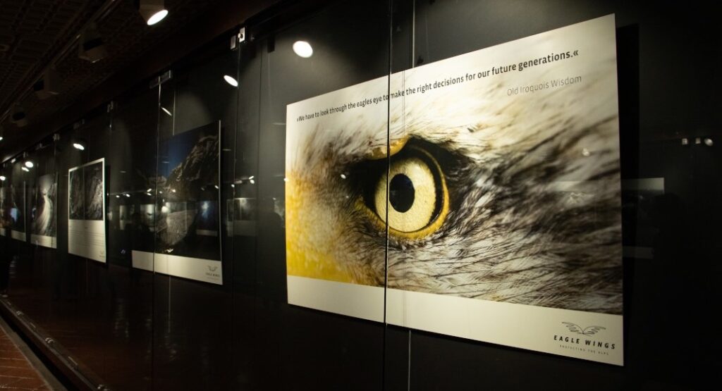 Albert II Foundation: Eagle Wings exhibition