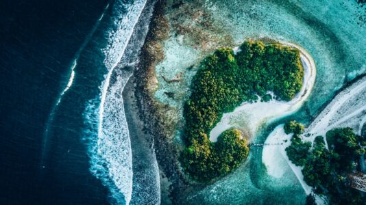 L'après-Covid : un nouvel équilibre Homme-Nature ?