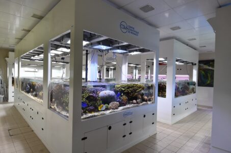Salle des aquariums du Centre Scientifique de Monaco © CSM-min