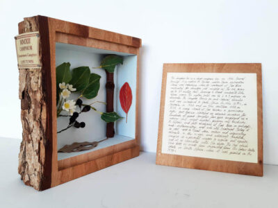 Courtesy l'artiste & Galerie In Situ - fabienne leclerc, Paris