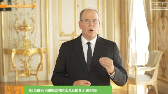 prince-albert-environnement(1)