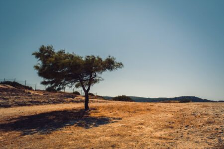 5th of countries at risk of ecosystem collapse mediterranean