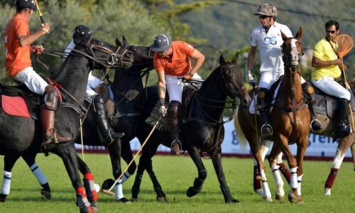 Monte Carlo Polo Team