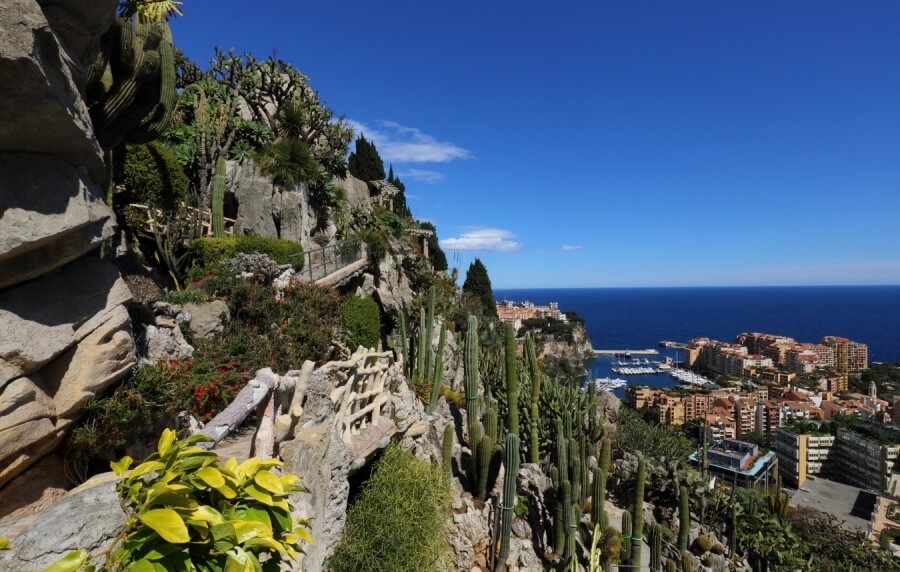 Jardin Exotique de Monaco