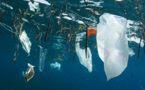 plastic-pollution-oceans