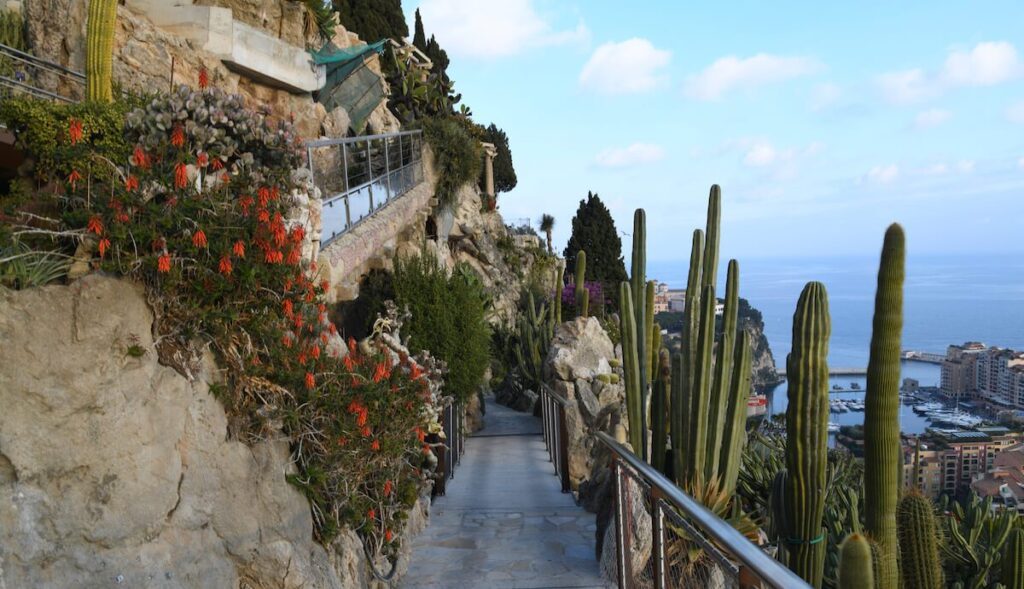 jardin-exotique-monaco