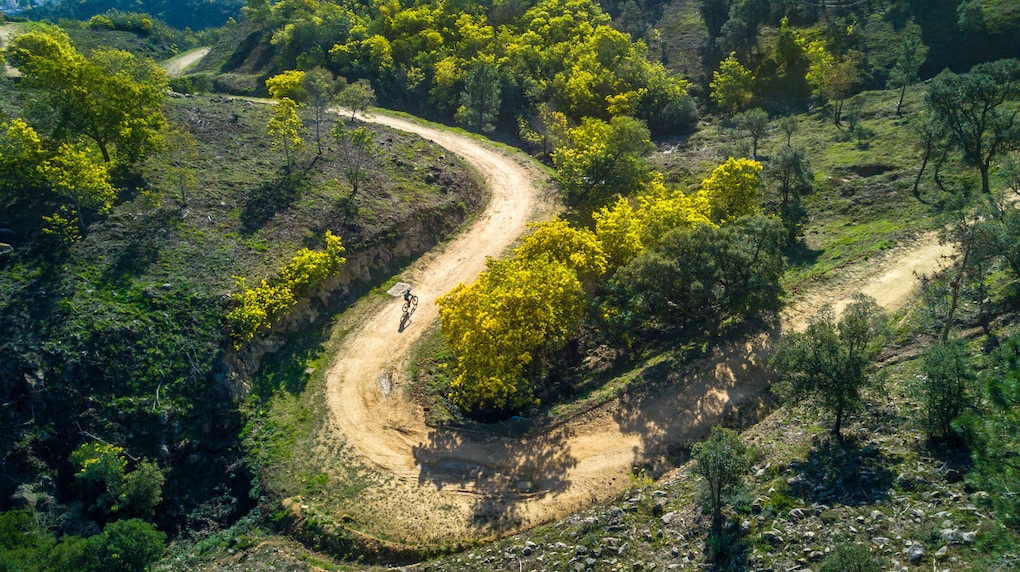 Route du Mimosa