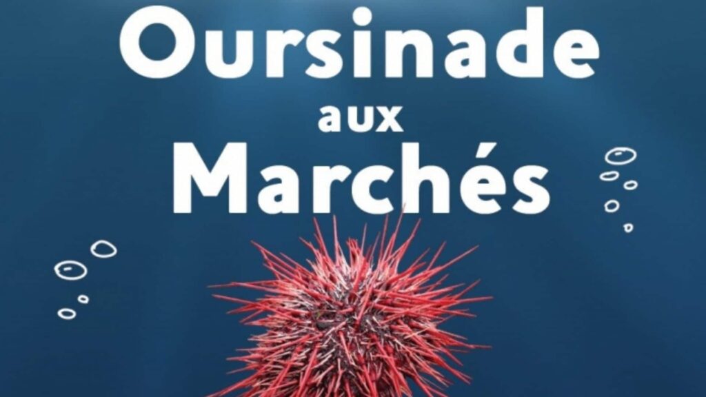 oursinade-a-monaco-a-consommer-avec-moderation