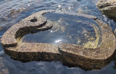 tide-pool