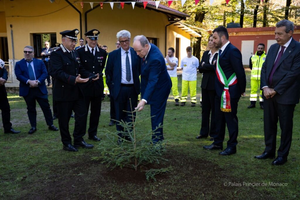 principe-alberto-ii-pianta-albero-aspromonte