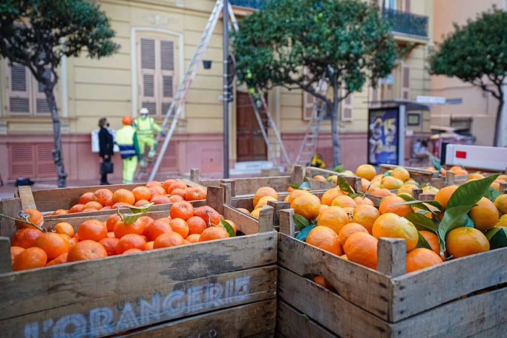 Oranges amères