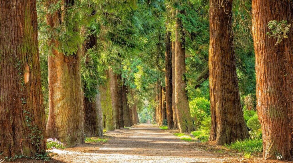 avenue-g19d31fade_1280-compressed