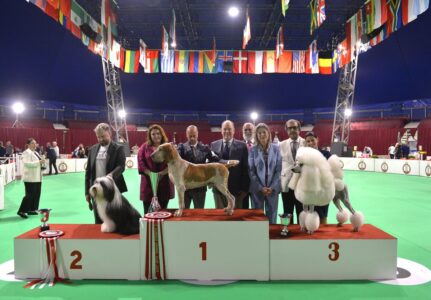 L'Espace Fontvieille recevra l'Exposition Internationale Canine de Monaco 2024