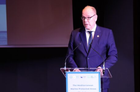 prince-albert-fondation