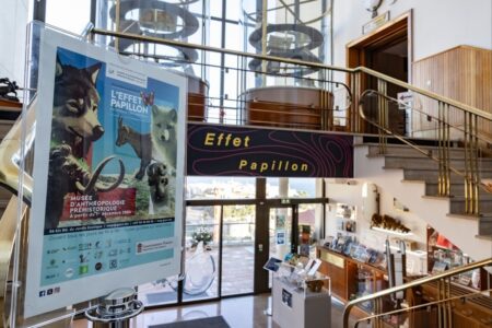 Exposition MAPM 2025