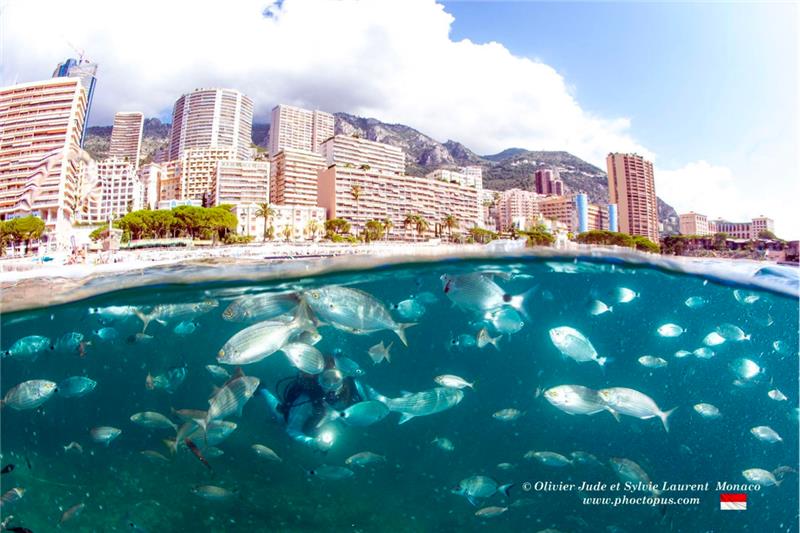 La réserve sous-marine du Larvotto © Olivier Jude et Sylvie Laurent