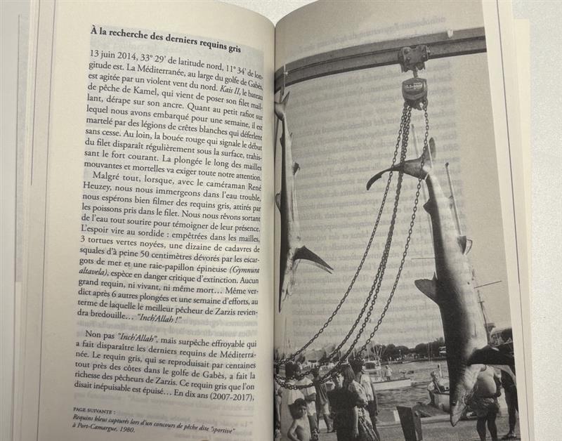 Médiathèque