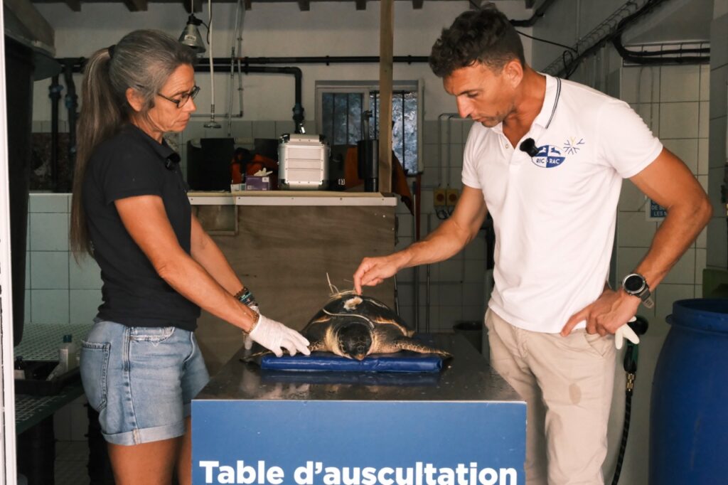 Il lavoro di Marc e quello di Sidonie, biologa, permettono di affinare le diagnosi e di comprendere meglio le diverse cause delle lesioni © Benjamin Godart - Monaco Tribune