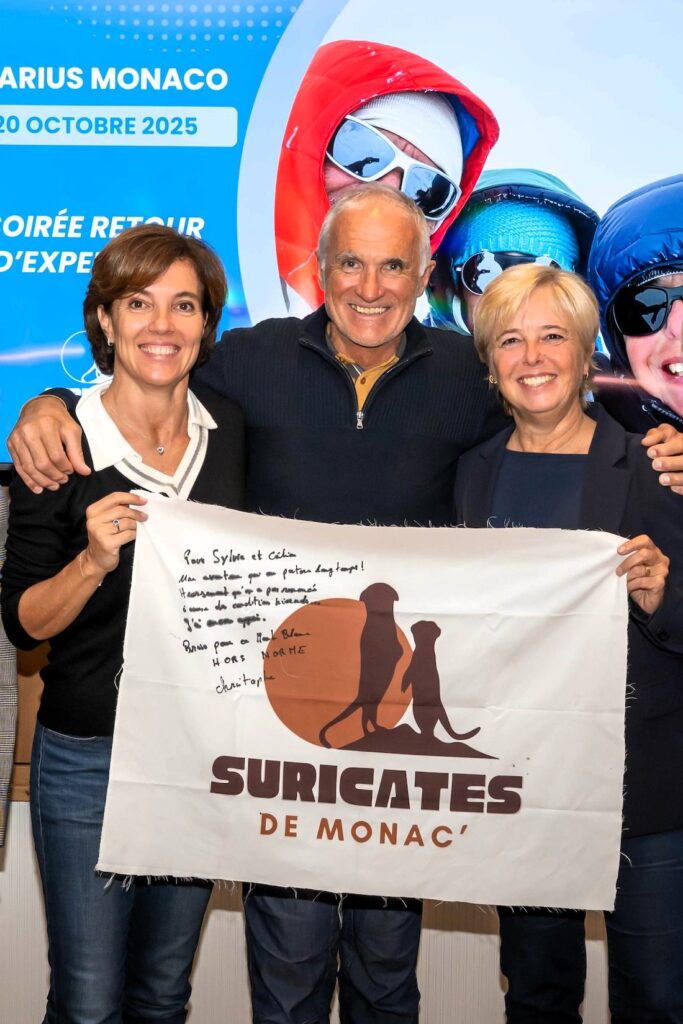 Suricates de Monac’