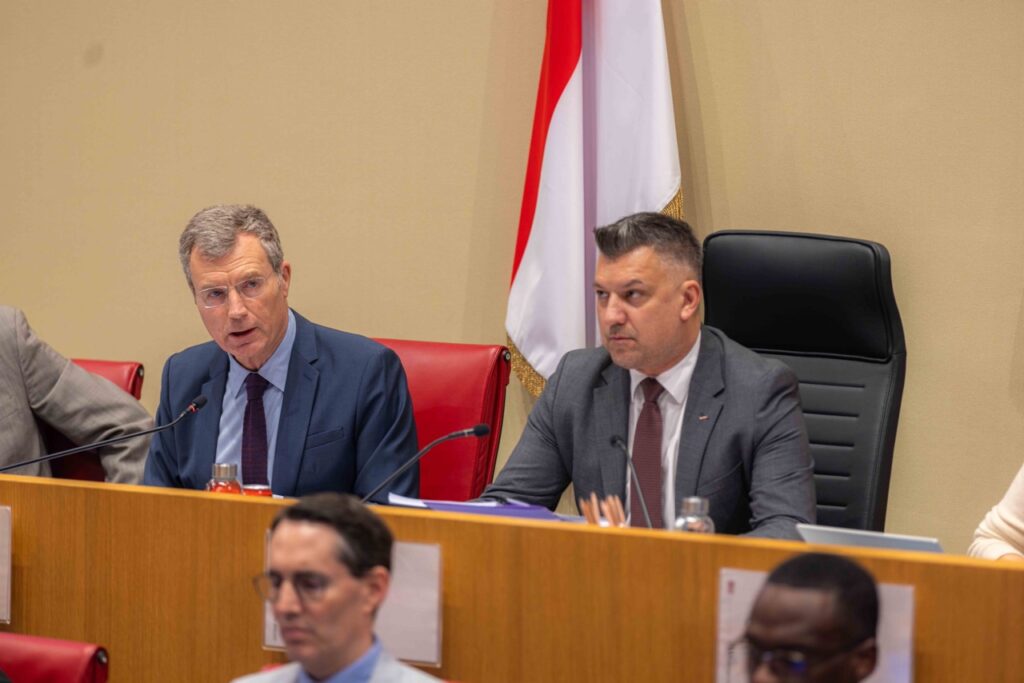 The Minister of State speaking at the National Council’s public session on 26 November © Conseil National