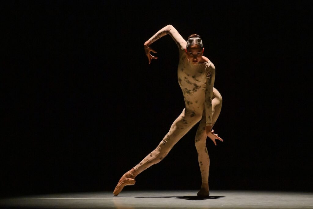 Princess Grace Academy