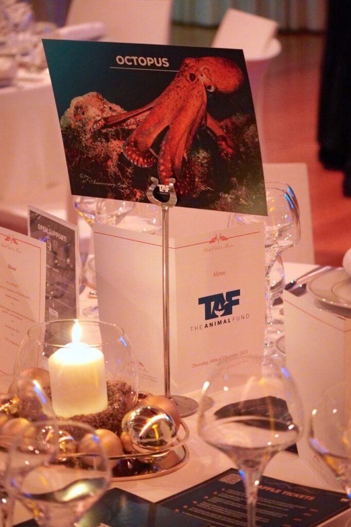 Les tables des invités portaient le nom d'animaux marins © Benjamin Godart - Monaco Tribune