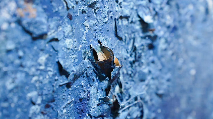 Philippe Pastor studio