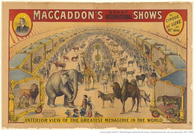 Affiche de ménagerie Maccaddon datant de 1905 © Fonds Jean Villiers - Bnf