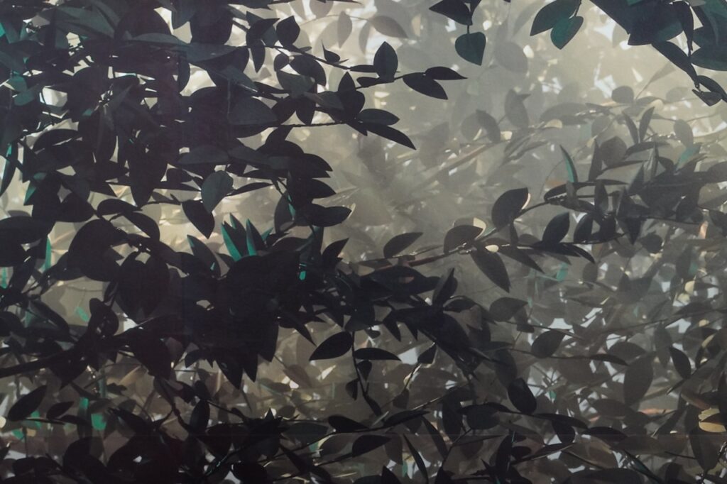 Détail de l'oeuvre "Clearing Billboard" de Thomas Demand (2003) présenté dans l'exposition © Benjamin Godart - Monaco Tribune