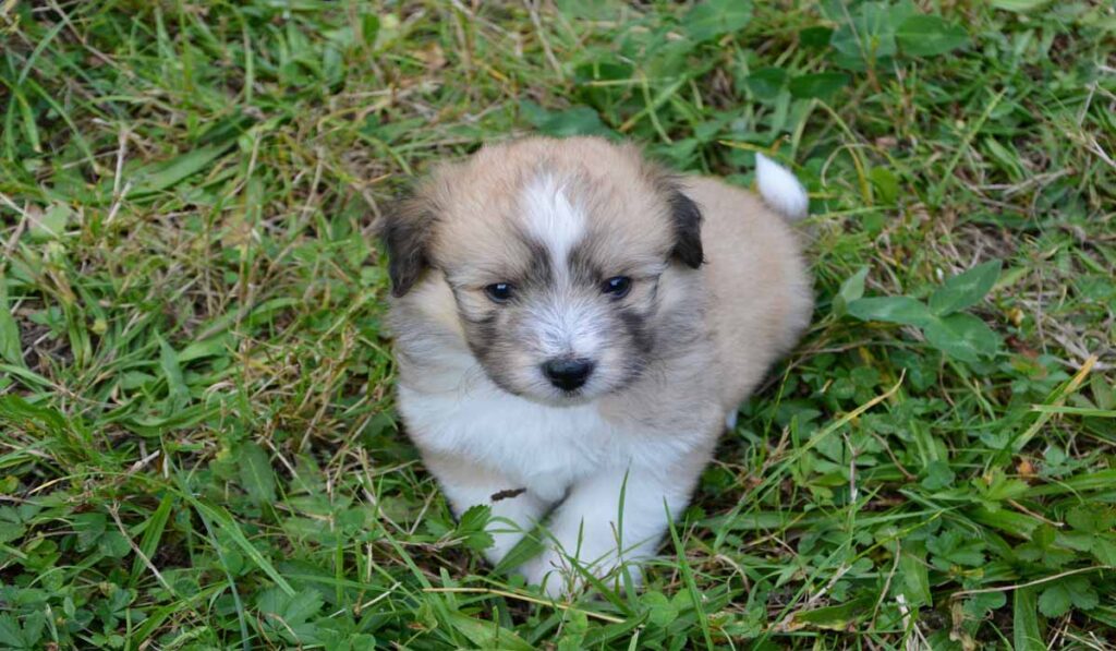 Image d'illustration de l'article / Lien vers l'article