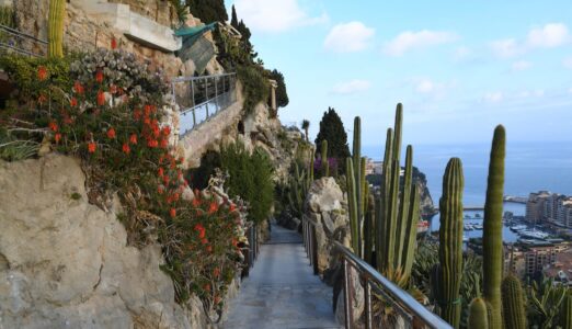 jardin-exotique-monaco-1-e1647255239353jardin-exotique-monaco-1-e1647255239353