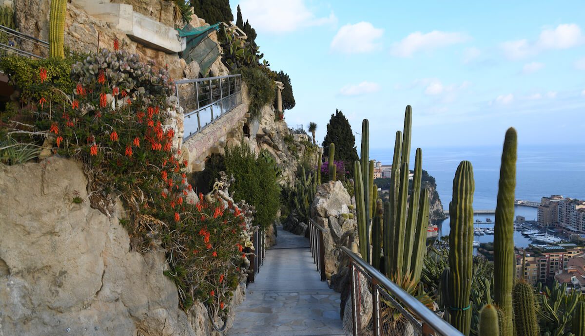 Monaco’s Exotic Garden to reopen after six years of renovation