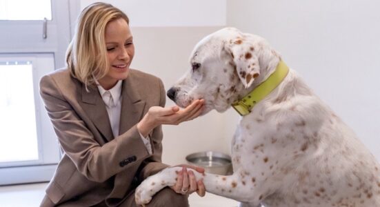 Image d'illustration de l'article / Lien vers l'article