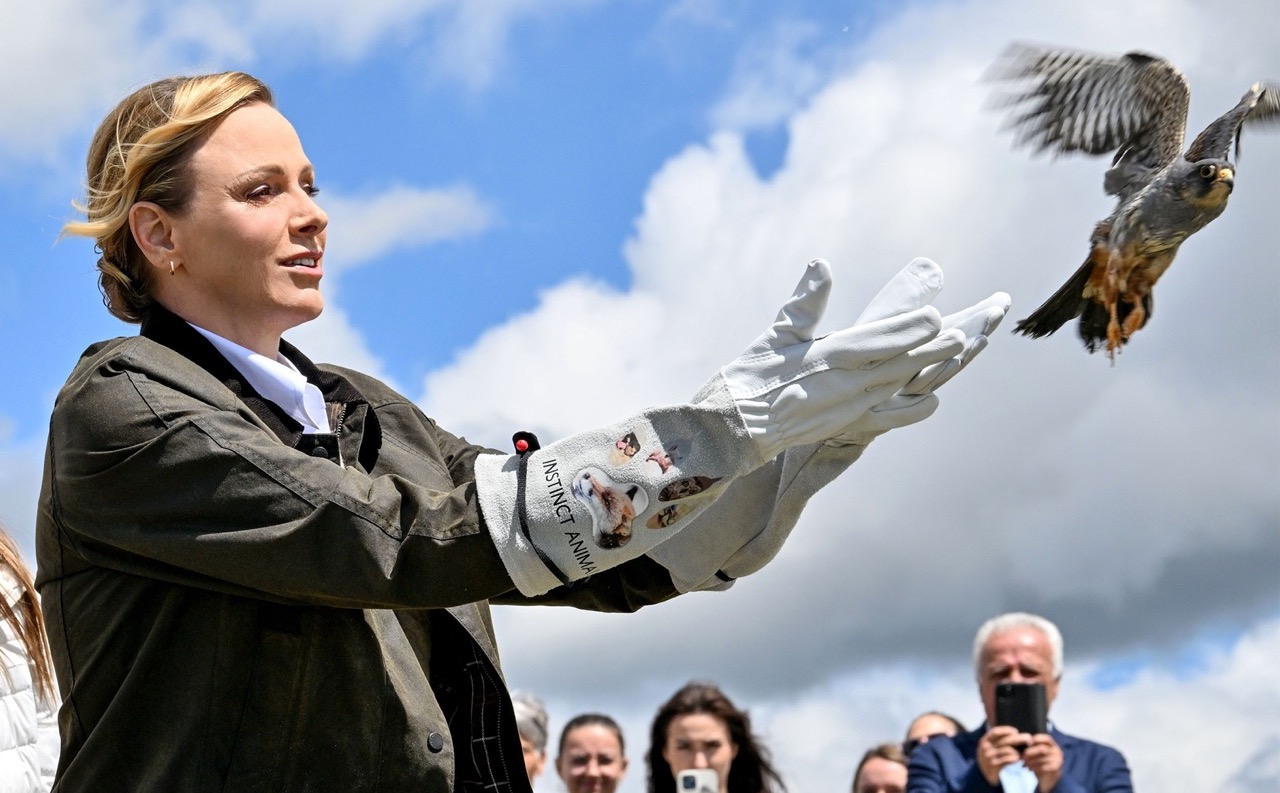 In pictures: emotional moment as Princess Charlene frees rescued falcon after months of recovery