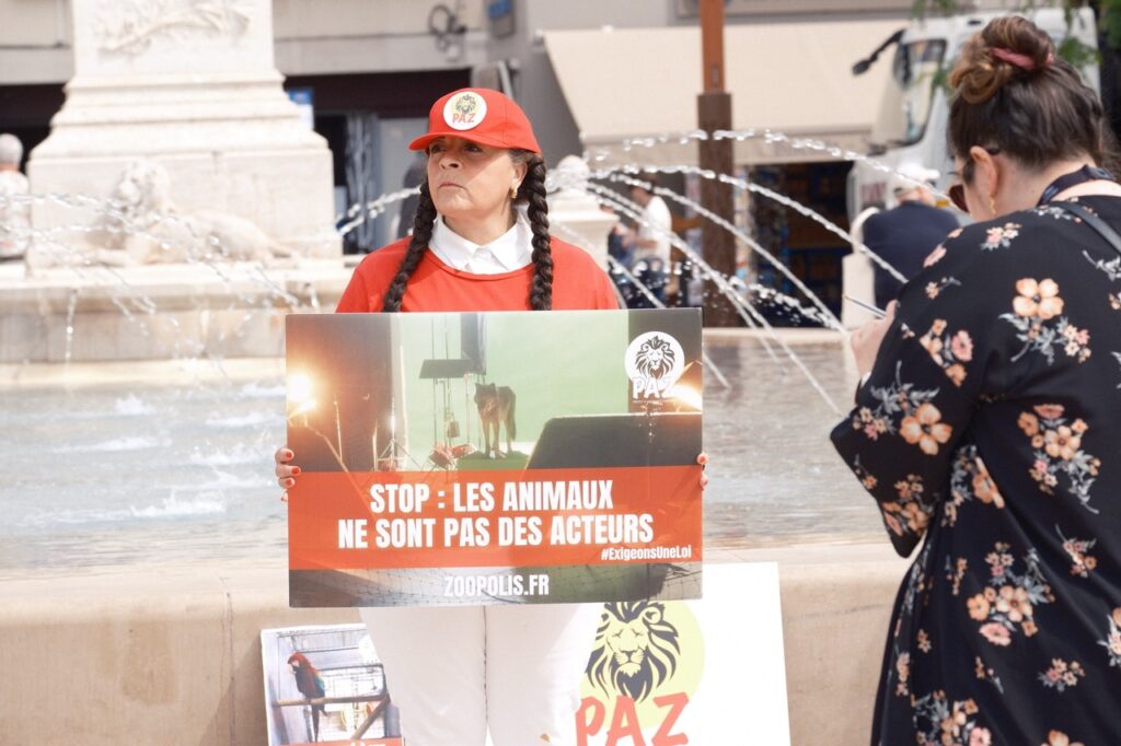 L'association PAZ près de la fontaine de Cannes, à quelques pas du Palais des Festivals © Benjamin Godart pour Monaco Tribune